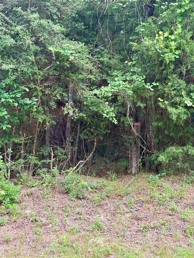 19300 Mount Pleasant Rd, Montgomery, TX 77356 - photo 3