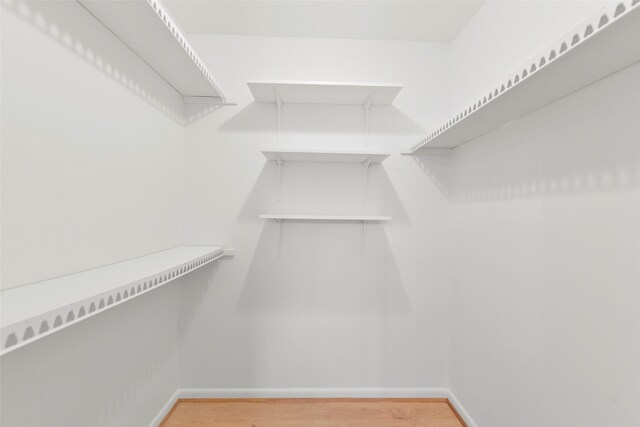 spacious closet featuring light wood-style floors