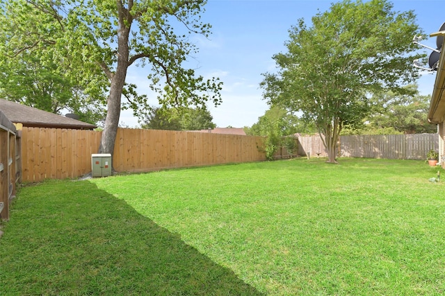 view of yard