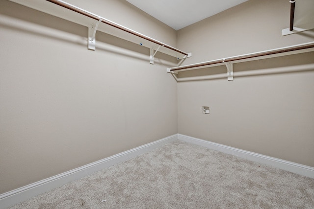 spacious closet featuring carpet flooring