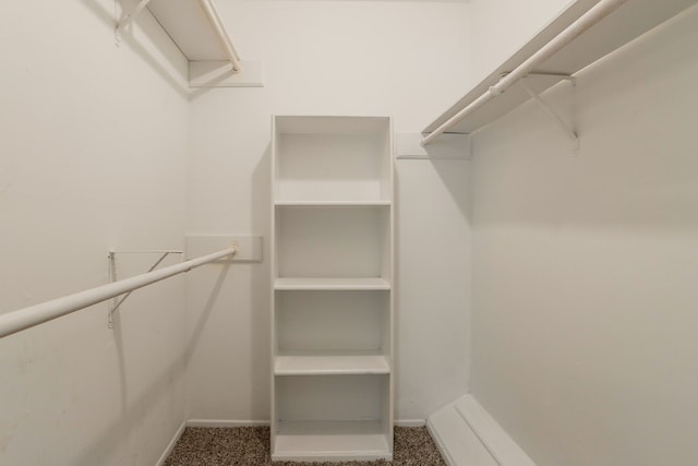 5935 Caruso Forest Dr, Houston, TX 77088 - walk in closet featuring carpet