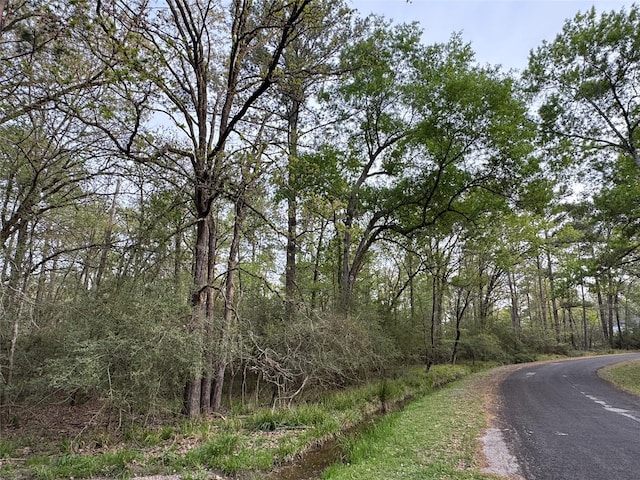 TBD28 Broadmoor Dr, Trinity, TX 75862