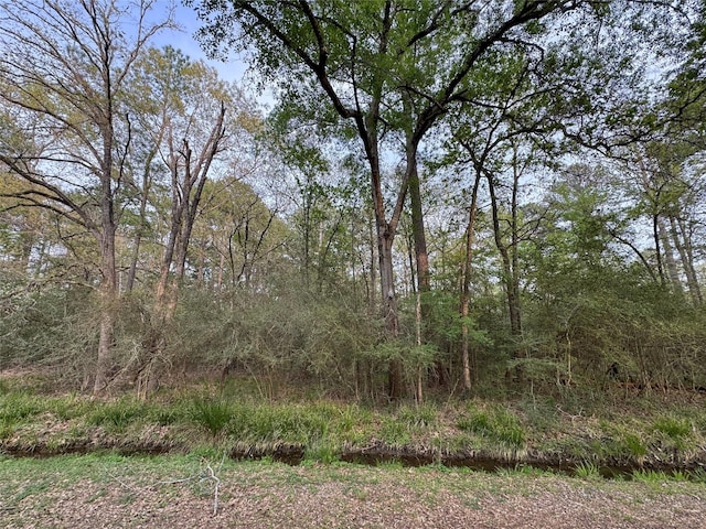 TBD28 Broadmoor Dr, Trinity, TX 75862