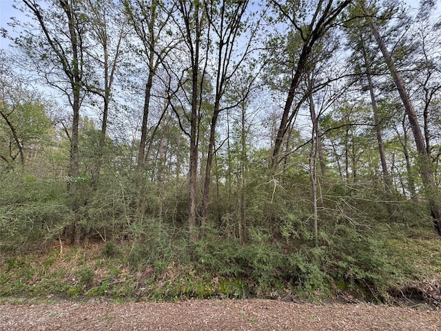 TBD28 Broadmoor Dr, Trinity, TX 75862