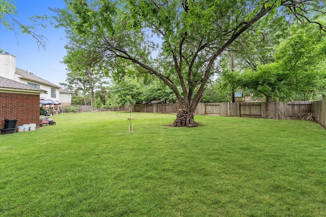 16603 April Hill St, Houston, TX 77095 - view of yard