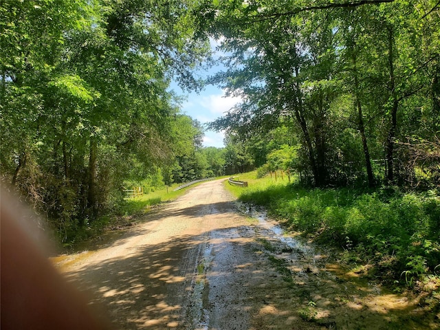6.218AC Zion Hill Rd, Lovelady, TX 75851