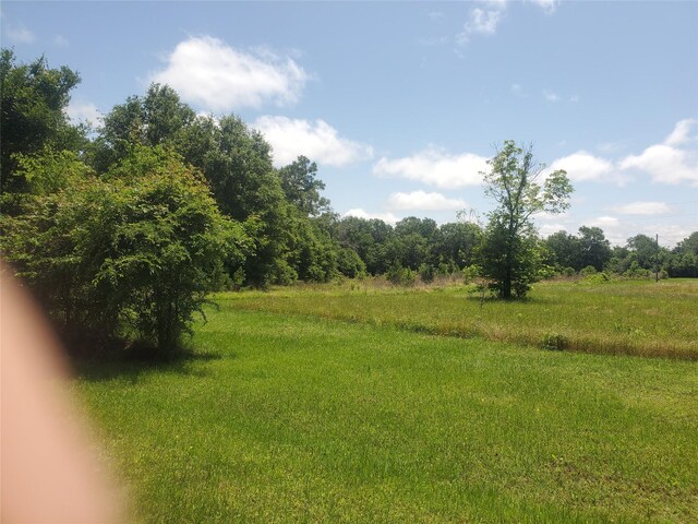 6.218AC Zion Hill Rd, Lovelady, TX 75851