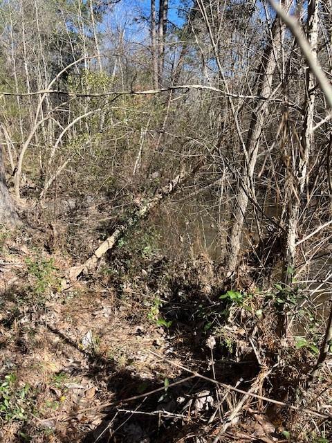21438 Doru Dr, Cleveland, TX 77328 - photo 29