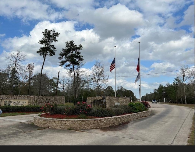 21438 Doru Dr, Cleveland, TX 77328 - photo 3