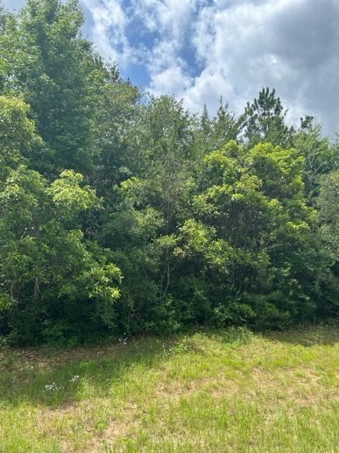 21438 Doru Dr, Cleveland, TX 77328 - photo 7