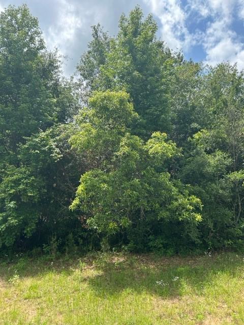 21438 Doru Dr, Cleveland, TX 77328 - photo 8