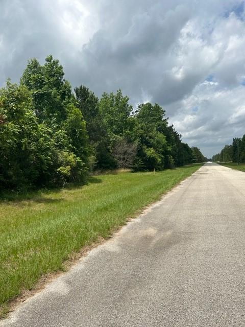 21438 Doru Dr, Cleveland, TX 77328 - photo 9