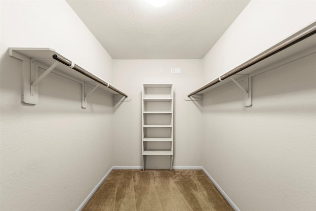 15010 Calico Heights Ln, Cypress, TX 77433 - spacious closet featuring carpet