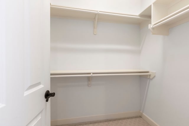 view of walk in closet