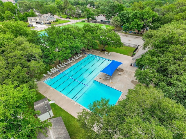 12443 Honeywood Trl, Houston, TX 77077 - bird's eye view of a pool and a tree filled landscape