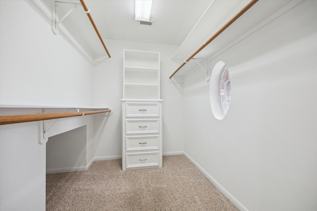 spacious closet featuring carpet floors