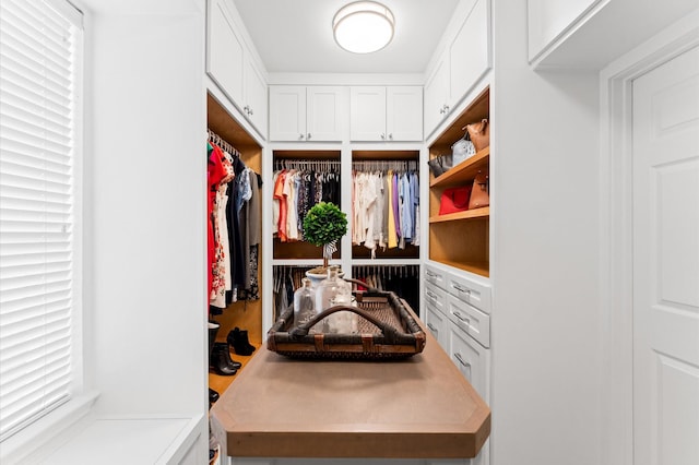 13502 Mount Airy Dr, Cypress, TX 77429 - view of spacious closet