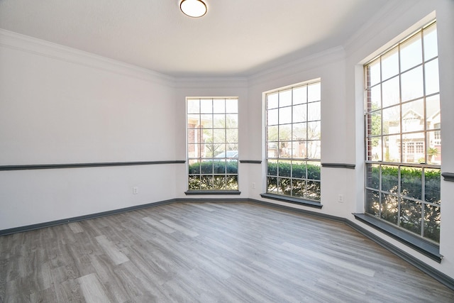 20011 Polly Creek Way, Katy, TX 77450 - spare room with wood finished floors, crown molding, and baseboards