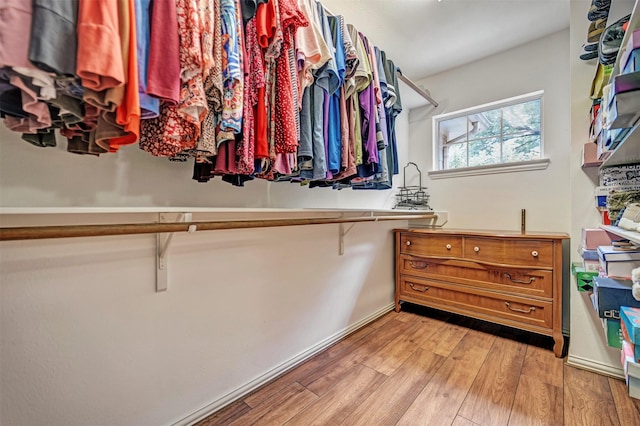 spacious closet featuring light wood-style floors