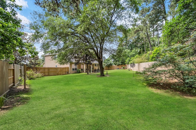 view of yard