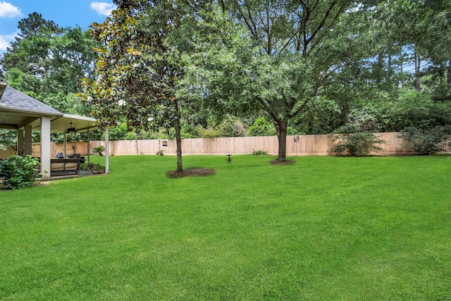 view of yard