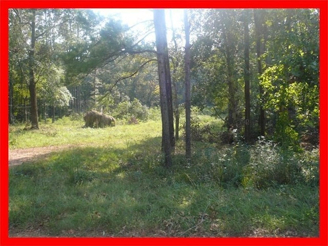 00 Magnolia Cir, Magnolia, TX 77354 - photo 4