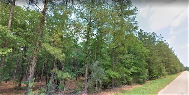 00 Magnolia Cir, Magnolia, TX 77354 - photo 3