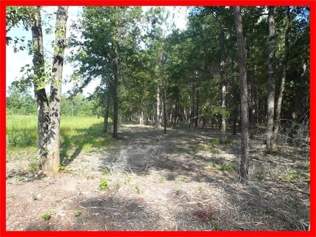 00 Magnolia Cir, Magnolia, TX 77354 - photo 5