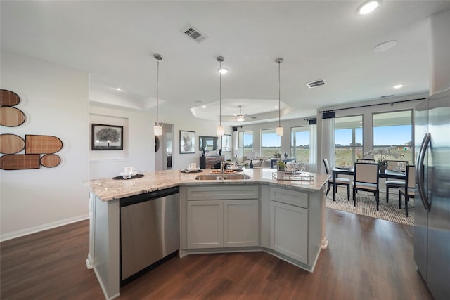 11034 Moon Light Dr, Needville, TX 77461 - kitchen with stainless steel appliances, a tray ceiling, a sink, dark wood-type flooring, and recessed lighting