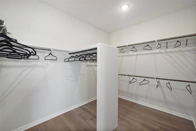 11034 Moon Light Dr, Needville, TX 77461 - spacious closet with wood finished floors