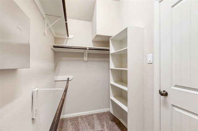 23435 Banks Mill Dr, New Caney, TX 77357 - spacious closet with carpet