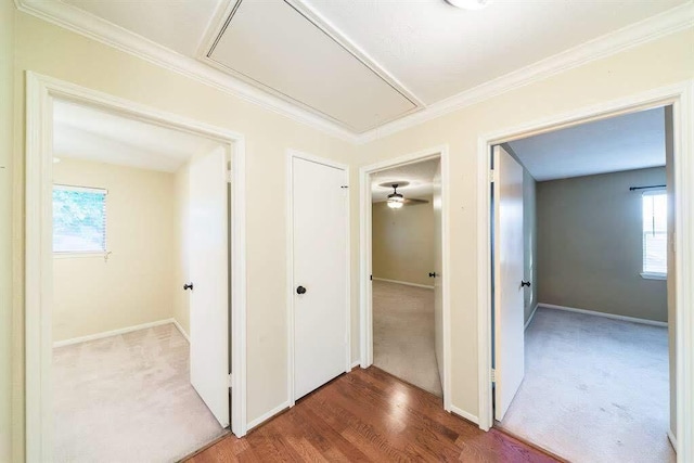 2707 Williams Grant St, Sugar Land, TX 77479 - corridor with attic access, healthy amount of natural light, ornamental molding, and baseboards