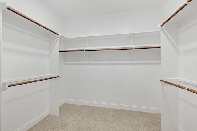 11826 Tranquility Summit Dr, Cypress, TX 77433 - walk in closet featuring carpet flooring