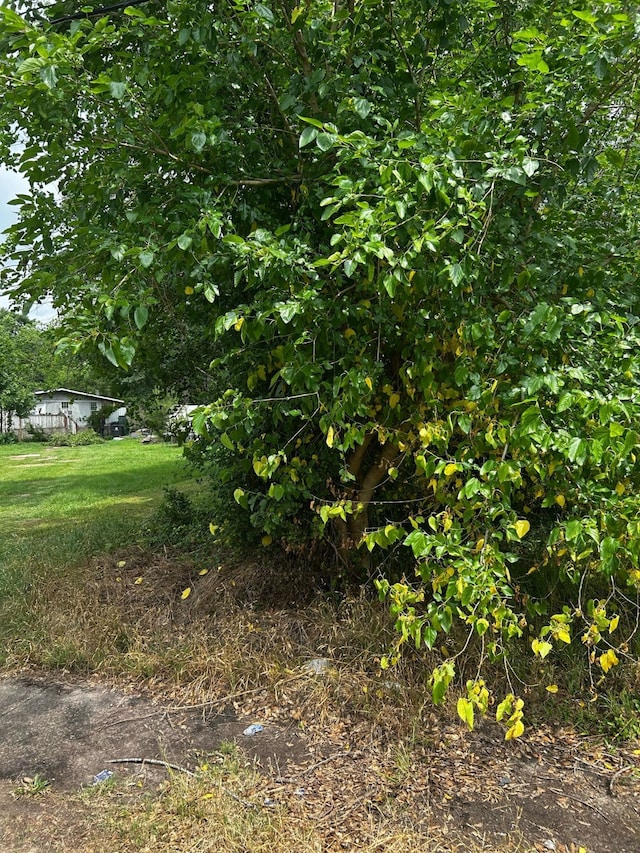 0 Davidson St, Houston, TX 77091