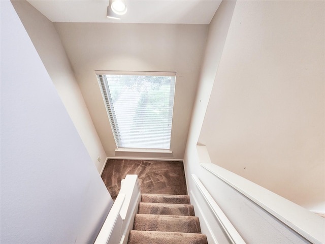 7910 Woodway Dr, Houston, TX 77063 - staircase featuring carpet floors