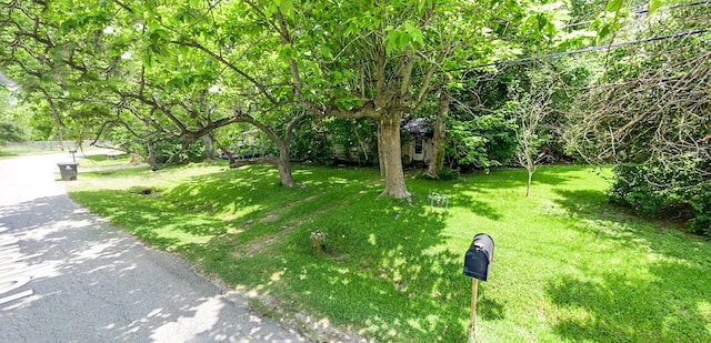 view of property's community featuring a yard