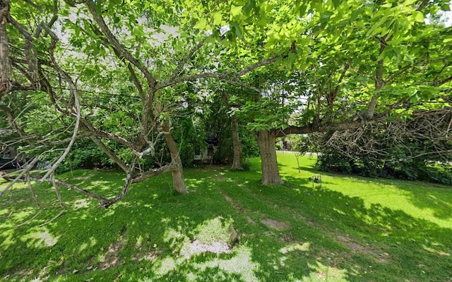 view of green lawn