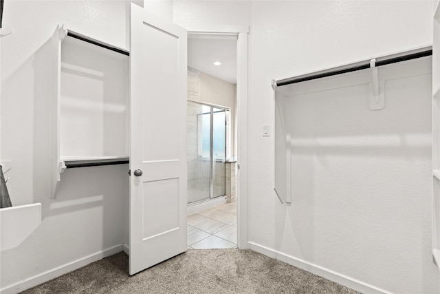 9110 Eckert Rd, Iowa Colony, TX 77583 - walk in closet with light carpet