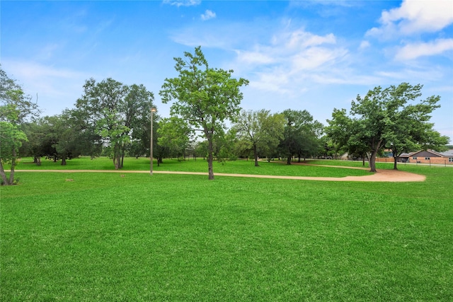 2411 Jitterbug Ln, Katy, TX 77493 - view of community featuring a lawn