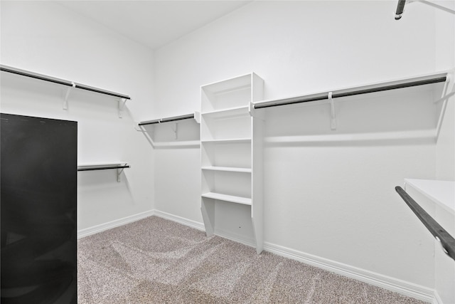 2411 Jitterbug Ln, Katy, TX 77493 - walk in closet with carpet floors