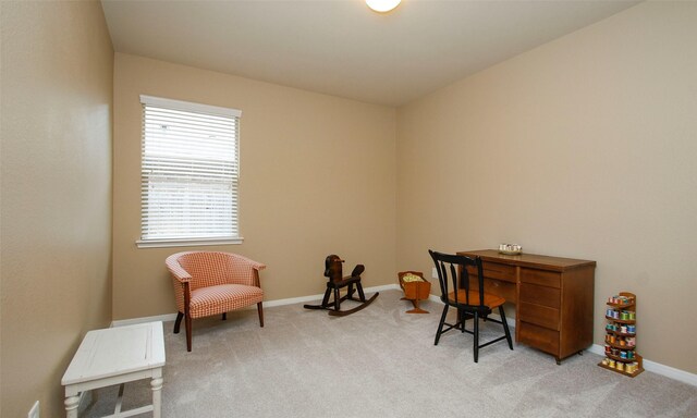 119 Pike Mill Pl, Montgomery, TX 77316 - photo 29