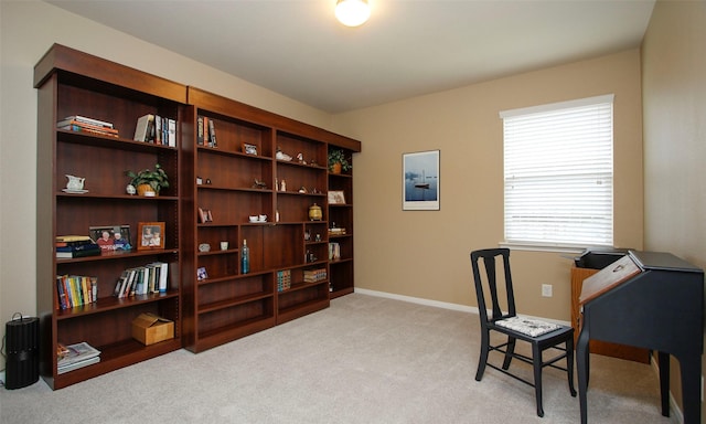 119 Pike Mill Pl, Montgomery, TX 77316 - photo 26