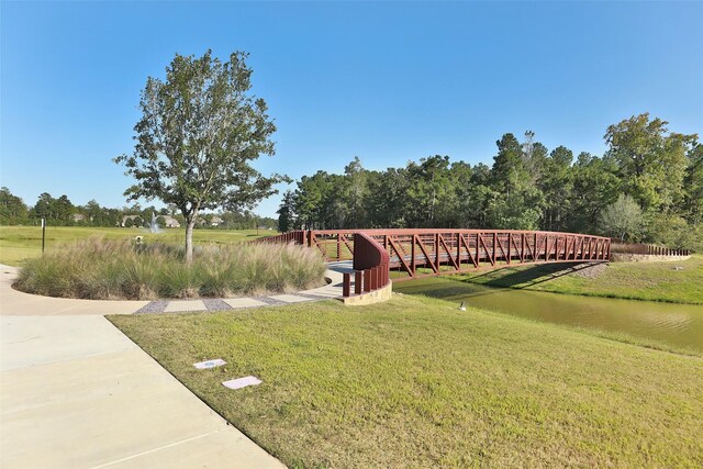 119 Pike Mill Pl, Montgomery, TX 77316 - photo 43