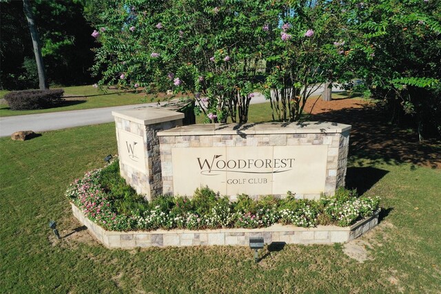 119 Pike Mill Pl, Montgomery, TX 77316 - photo 49
