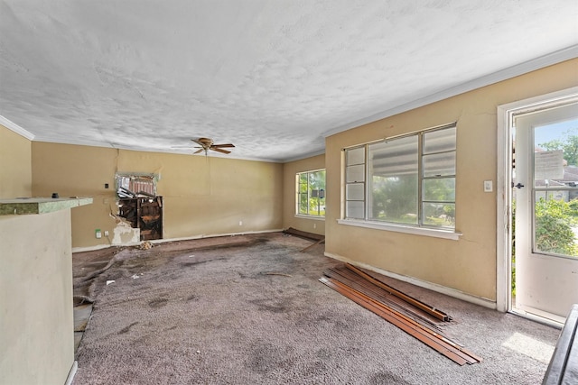 10010 Fairland Dr, Houston, TX 77051 - photo 5