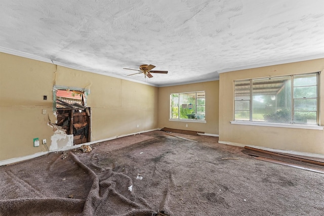 10010 Fairland Dr, Houston, TX 77051 - photo 9