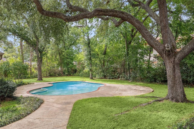 outdoor pool with a yard and a patio