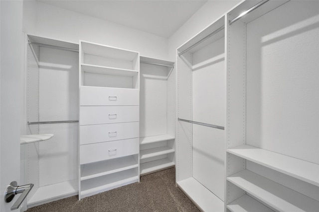 22110 Sam Raburn Dr, Tomball, TX 77375 - walk in closet featuring dark colored carpet