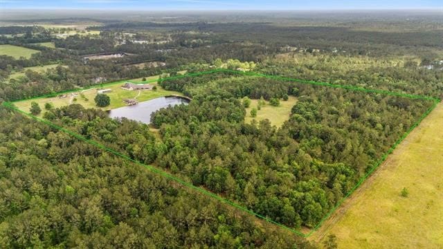 2014 Fish Lake Rd, Kountze, TX 77625 - aerial view of property and surrounding area featuring property boundaries highlighted, a forest, and a nearby body of water