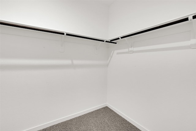 3907 Knighton Ct, Fulshear, TX 77441 - spacious closet featuring carpet floors